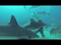 scuba diving