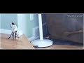 The GIF of Life
