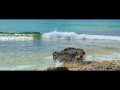 Caribbean Cruise 2012