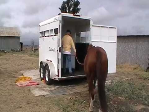 Horse Trailer