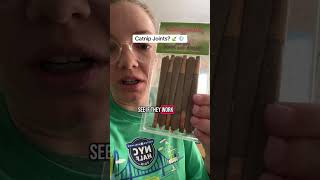Final Verdict On The Kitty Nip Joints From Tiktok