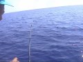 Bolentino di profondità
