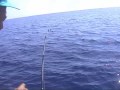 Bolentino di profondità