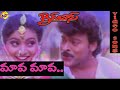 Mava Mava Video Song | (బిగ్ బాస్)Telugu Movie Songs | Mass Songs | Chiranjeevi | Roja | TVNXT Music