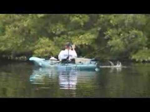 Kayak Chew