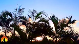 🔴 Relaxing Piano Music 24/7, Beautiful Relaxing Music, Sleep Music, Meditation Music, Study Music