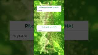 1 Daki̇kada Dna Ve Rna Karşılaştırma