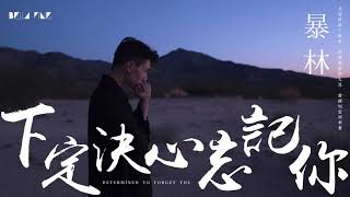【HD】暴林 下定決心忘記你 歌詞字幕完整高清音質 ♫ Bao Lin Determined To Forget You Feat 乞丐