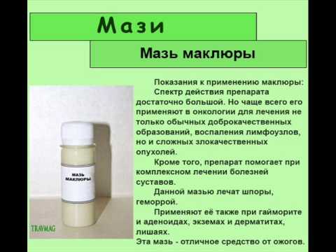 Как приготовить мазь маклюры в домашних условиях Как приготовить мазь маклюры в домашних условиях