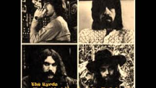 Watch Byrds Baby What You Want Me To Do live video