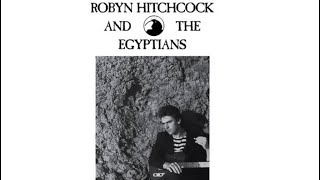 Watch Robyn Hitchcock Bass video