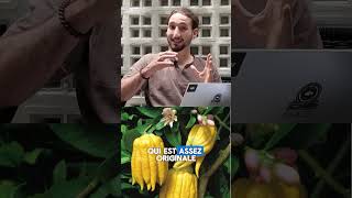 Sniff Du Ya Dom Secret De Thaïlande Pt1