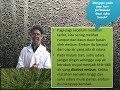 image Pembelajaran Ipa Sd Pgsd Fkip Uns Tentang Perubahan Wujud Untuk Kelas Iv Sd