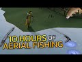 Loot From 10 Hours Of Aerial Fishing