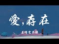 Wang Jing Wen Bu Pang 王靖雯不胖 - Ai, Cun Zai 爱, 存在 (Wei Qi Qi 魏奇奇) Lyrics 歌词 Pinyin/English Translation