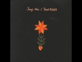 Songs: Ohia - Lioness