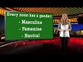 German Lesson 8 - the articles