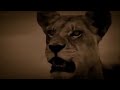 Lions
