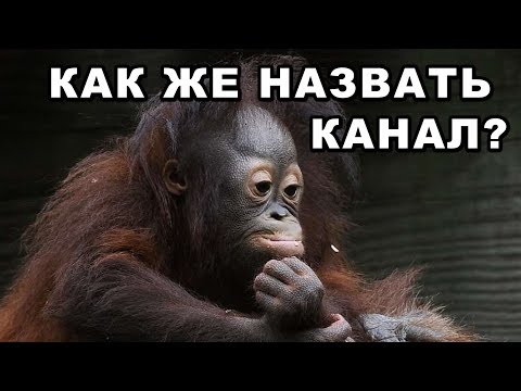 КАК ЖЕ НАЗВАТЬ НАШ КАНАЛ? НУЖНА ВАША ПОМОЩЬ! КАК ЖЕ НАЗВАТЬ НАШ КАНАЛ? НУЖНА ВАША ПОМОЩЬ!