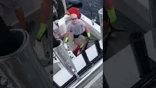 Longfin poormans cannon