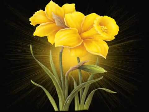 Chandana valayitta kai onam song from thiruvona kaineettam...