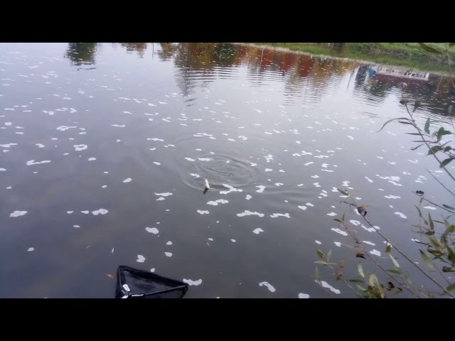 Тимофей подуст видео Тимофей подуст видео