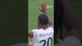 uT0Ypun_7D0 Video Image