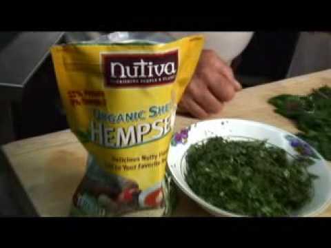 Hippy Gourmet makes Veggie Wraps @ Guide Dogs for the Blind