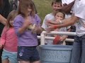 Serious Frog Jumpin' in Calaveras County