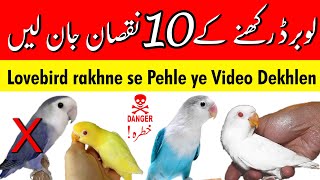 Lovebird Rakhne Ke 10 Nuksan Janlen I Love Birds Ka Business Kaise Kare