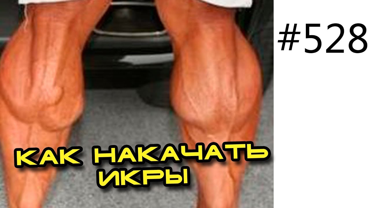Накачать камбаловидную мышцу в домашних условиях Накачать камбаловидную мышцу в домашних условиях