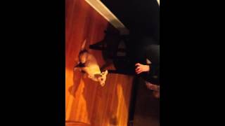 Chichi Vs Fart Machine