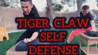 Tiger Kung Fu For Beginners Self Defense