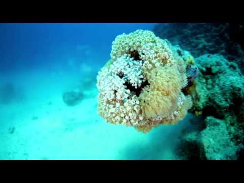 Saudi Arabia unveils plans for The Red Sea development