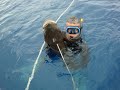 Video de Omar queiroz - pesca sub naufragio