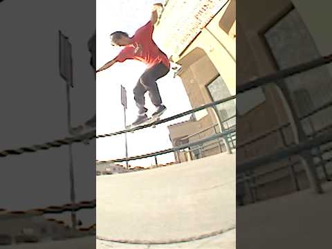 Massimo Cavedoni 2007 Classic Skateboarding Shorts