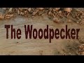 The Woodpecker Ep 69 - Building the new shop part 15 - The interior divisions