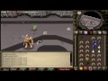 Runescape 2007 Pking - First Day as an Initiate Pure - So Wreck3d
