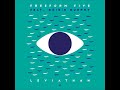 Freeform Five feat. Róisín Murphy - Leviathan
