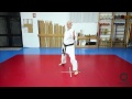 Defensas - Aprende karate - Hasta cinturón azul - Sapeando