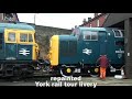 Deltic 55022 50th Birthday In York Rail Tour Livery 28 images Deltic 55022 50th Birthday In York Rail Tour Livery 28