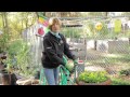 Garden tips