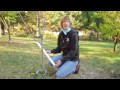 Garden tips