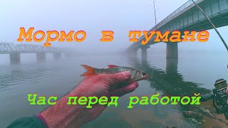 Мормо в тумане. Час перед работой.