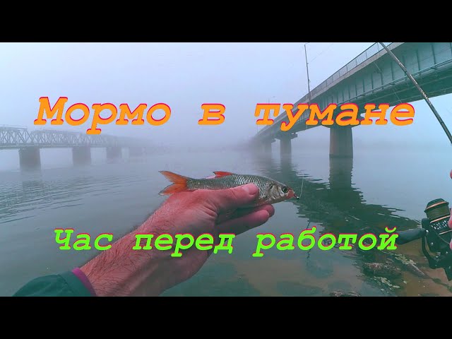 Мормо в тумане. Час перед работой.