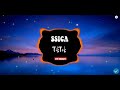 SSICA [Remix] - Nhạc nền TiTok | Những điệu nhảy yêu thích nhất
