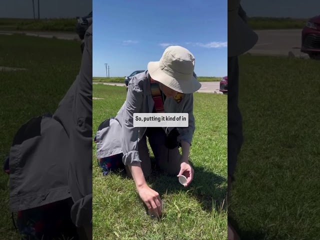 Watch How To Catch a Spider on YouTube.