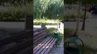 Сквер Имени Академика Живописи,Портретиста Петра Захарова