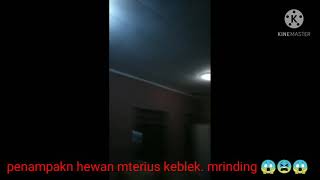 Penampakn Keblek , Horor