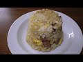 黒柴クロ 犬ごはん チャーハン Shiba Inu Kuro Eats Fried Rice